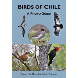 Birds of Chile: A Photo Guide
