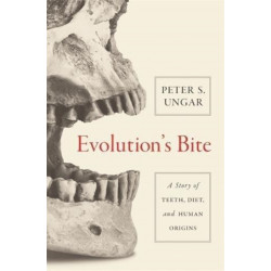 Evolution's Bite: A Story of Teeth, Diet, and Human Origins