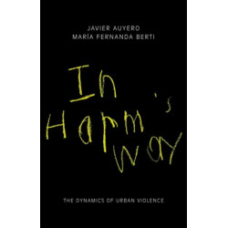 In Harm's Way: The Dynamics of Urban Violence