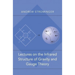 Lectures on the Infrared Structure of Gravity and Gauge Theory
