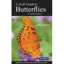 A Swift Guide to Butterflies of North America: Second Edition