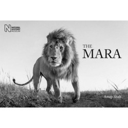 The Mara