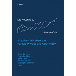 Effective Field Theory in Particle Physics and Cosmology: Lecture Notes of the Les Houches Summer School: Volume 108, July 2017