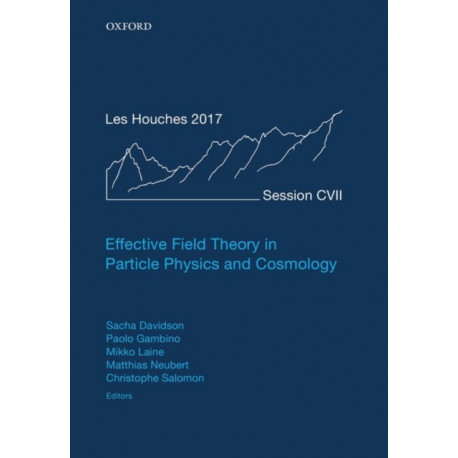 Effective Field Theory in Particle Physics and Cosmology: Lecture Notes of the Les Houches Summer School: Volume 108, July 2017