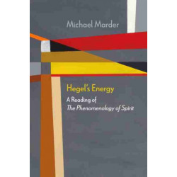 Hegel's Energy: A Reading of the Phenomenology of Spirit