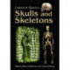 Skulls and Skeletons: Human Bone Collections and Accumulations