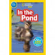 In the Pond (National Geographic Kids Readers, Pre-Reader)