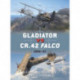 Gladiator vs CR.42 Falco: 1940–41