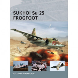 Sukhoi Su-25 Frogfoot
