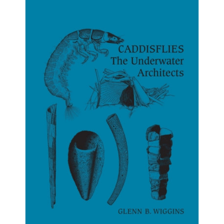 Caddisflies: The Underwater Architects