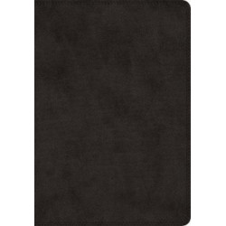 ESV Super Giant Print Bible