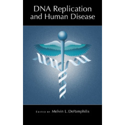 DNA Replication and Human Disease