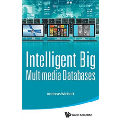Intelligent Big Multimedia Databases