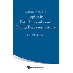 Lecture Notes In Topics In Path Integrals And String Representations