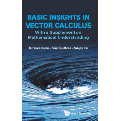 Basic Insights In Vector Calculus: With A Supplement On Mathematical Understanding