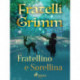Fratellino e sorellina