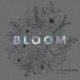 Bloom: A Flower Coloring Book for Adults