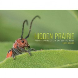 Hidden Prairie: Photographing Life in One Meter