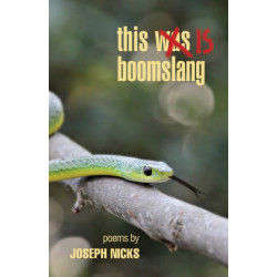 this is boomslang