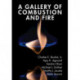 A Gallery of Combustion and Fire