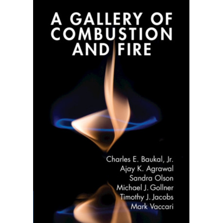 A Gallery of Combustion and Fire
