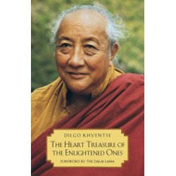 The Heart Treasure of the Enlightened Ones: The Practice of View, Meditation, and Action