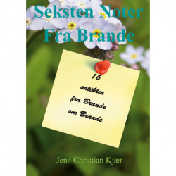 Seksten noter fra Brande: Artikler fra Brande om Brande