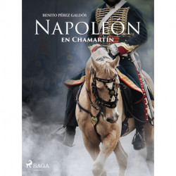 Napoleón en Chamartín