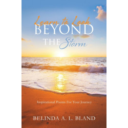 Learn to Look Beyond The Storm