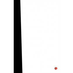 The Ultimate Winning Minds Quiz Challenge