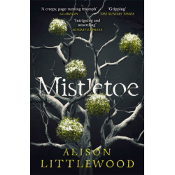 Mistletoe: 'The perfect read for frosty nights' HEAT