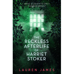 The Reckless Afterlife of Harriet Stoker: A twisty, atmospheric and wickedly funny ghost story - for fans of supernatural thrillers and morally grey protagonists