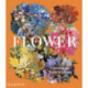 Flower: Exploring the World in Bloom