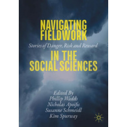 Navigating Fieldwork in the Social Sciences: Stories of Danger, Risk and Reward