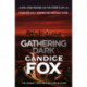 Gathering Dark
