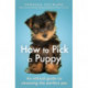 How To Pick a Puppy: An Ethical Guide To Choosing the Perfect Pet