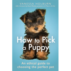 How To Pick a Puppy: An Ethical Guide To Choosing the Perfect Pet
