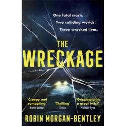 The Wreckage: The gripping thriller that everyone is talking about