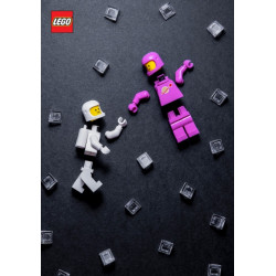 LEGO® Minifigure Journal