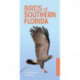 Birds of Southern Florida