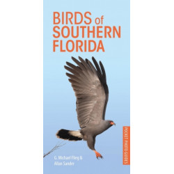 Birds of Southern Florida