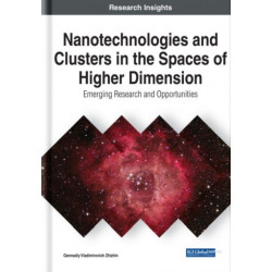 Nanotechnologies and Clusters in the Spaces of Higher Dimension: Emerging Research and Opportunities