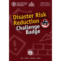 Disaster risk reduction challenge badge
