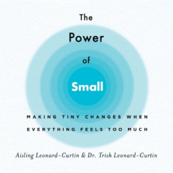 The Power of Small: Making Tiny Changes When Everything Feels Too Much