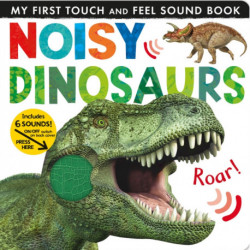 Noisy Dinosaurs: Includes 6 Sounds and an On/Off Switch on the Back Cover!