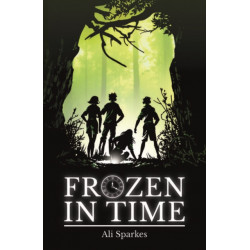 Rollercoasters: Frozen in Time