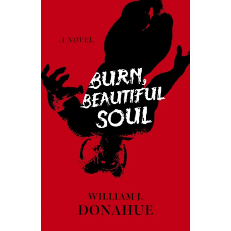 Burn, Beautiful Soul: A Novel