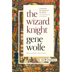 The Wizard Knight: (Comprising The Knight and The Wizard)