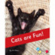 Cats are Fun!: Phonics Phase 4