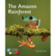 The Amazon Rainforest: Phonics Phase 4